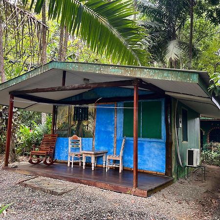 Chosa Manglar Suites & Cabins Puerto Jiménez エクステリア 写真
