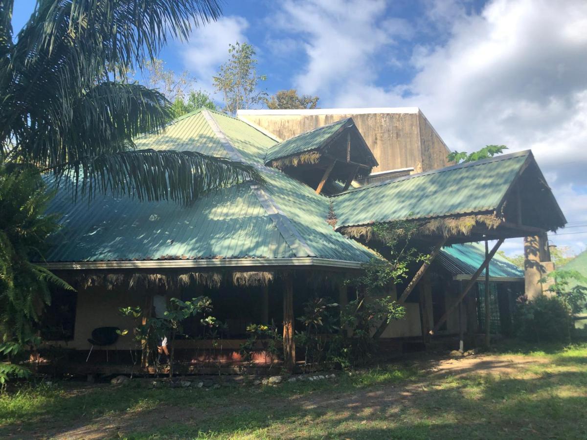 Chosa Manglar Suites & Cabins Puerto Jiménez エクステリア 写真