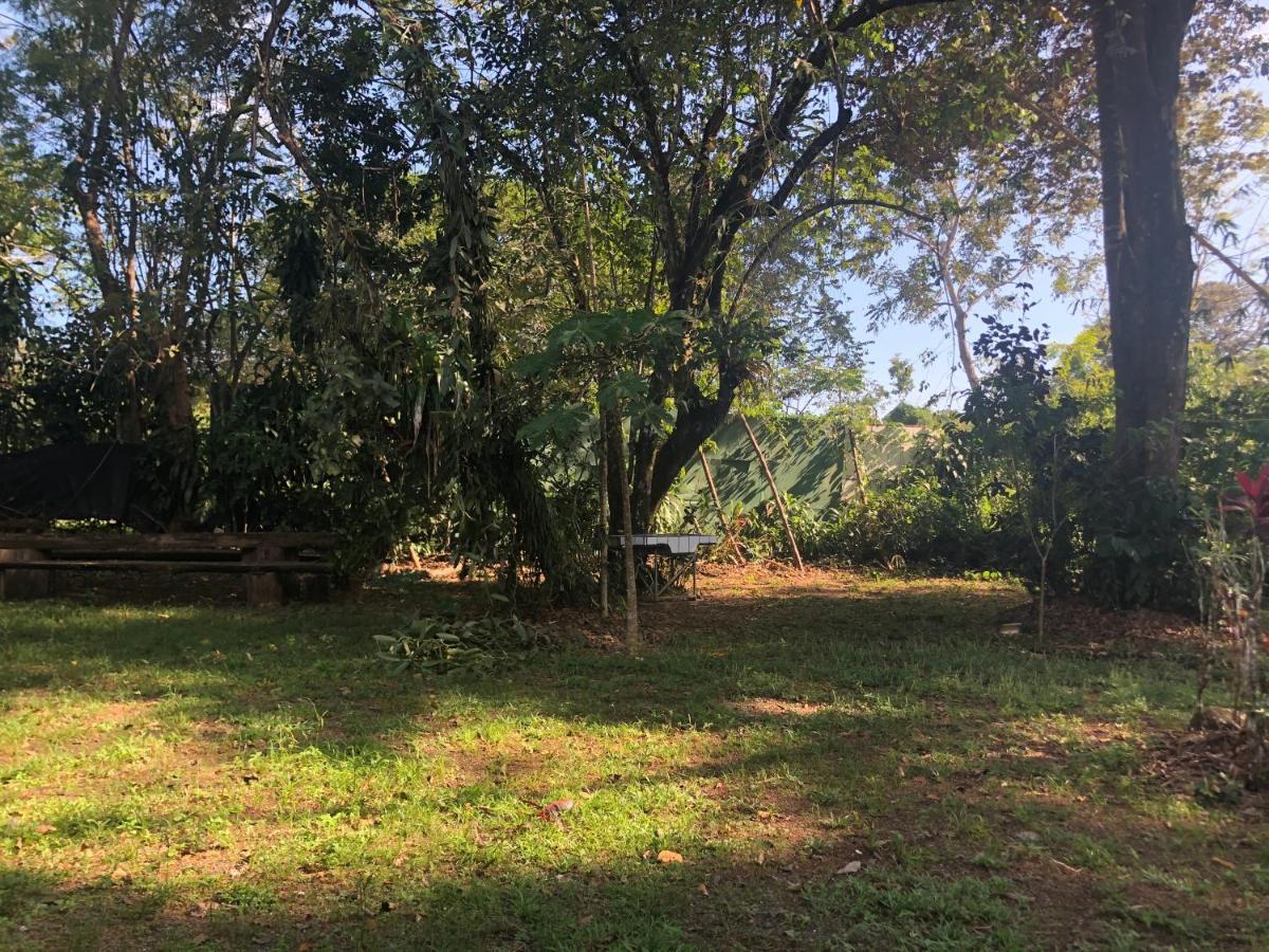 Chosa Manglar Suites & Cabins Puerto Jiménez エクステリア 写真