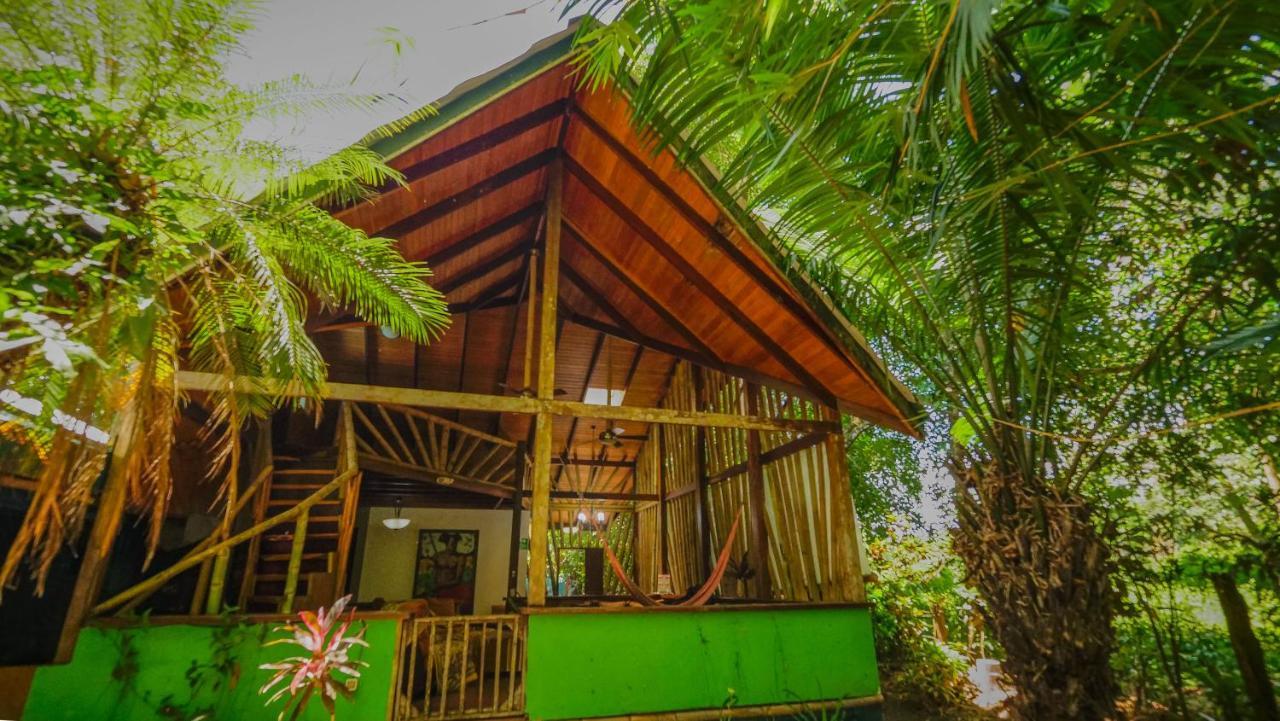 Chosa Manglar Suites & Cabins Puerto Jiménez エクステリア 写真