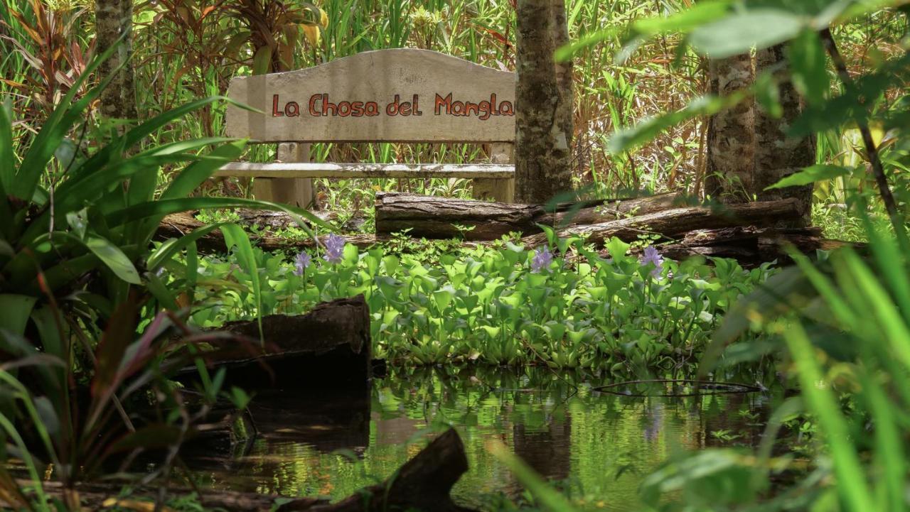 Chosa Manglar Suites & Cabins Puerto Jiménez エクステリア 写真