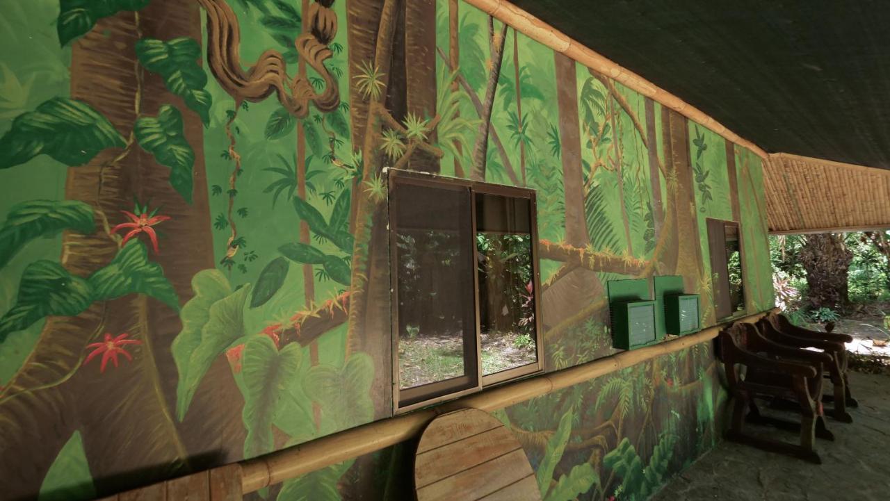 Chosa Manglar Suites & Cabins Puerto Jiménez エクステリア 写真