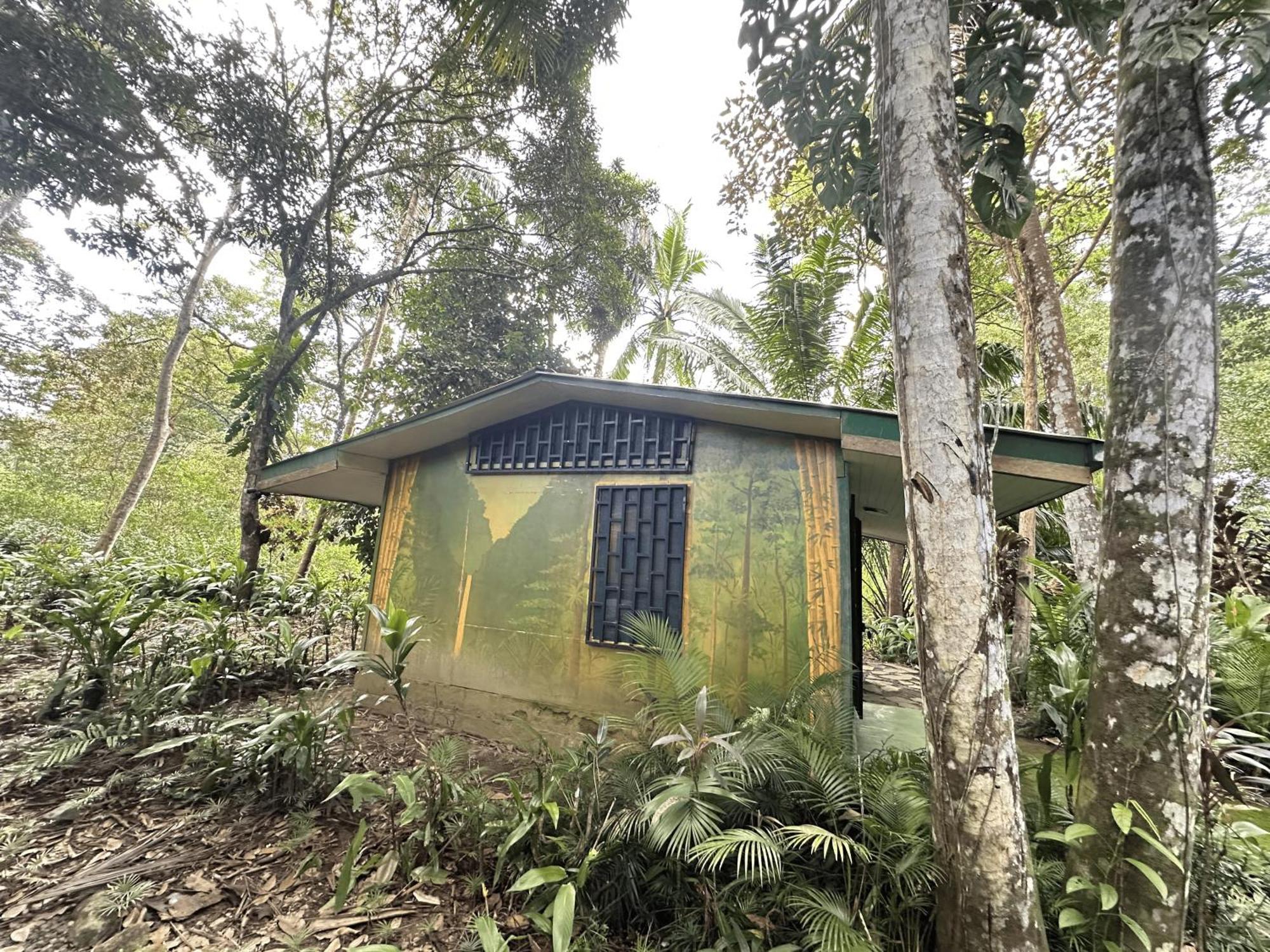 Chosa Manglar Suites & Cabins Puerto Jiménez エクステリア 写真